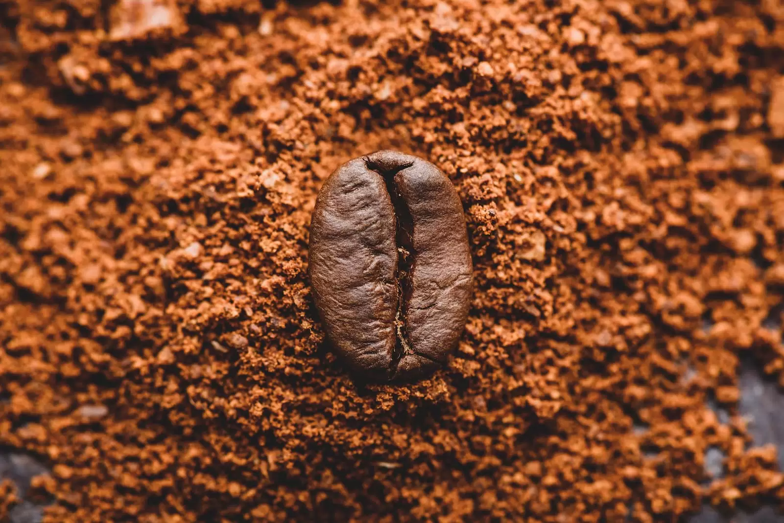 grãos de café moídos